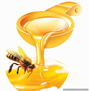 صورة: إنقاص الوزن بالعسل ” احدث نظم الرجيم “