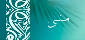 صورة: معنى اسم منى في المعجم و معنى اسم منى في علم النفس