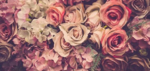 صورة: ما معنى اسم جوري و صفات حاملة اسم جوري و أسماء مشابهة لاسم جوري