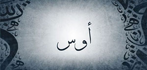 صورة: ما معنى اسم أوس و صفات حامل اسم أوس و شخصيات تحمل اسم أوس