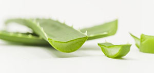 الألوفيرا و صودا الخبز و الشاي الاخضر صورة: الألوفيرا و صودا الخبز و الشاي الاخضر