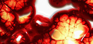 صورة: بلازما الدم