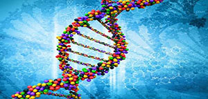 صورة: حمض ال DNA و مكونات ال DNA و تحليل ال DNA