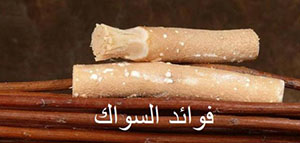 صورة: السواك و فوائد السواك علميا و الطريقة الصحيحة لاستخدام السواك