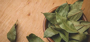 صورة: استخدام ورق الغار في الطبخ و استخدام ورق الغار للشعر