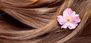 الكولاجين صورة: الكولاجين