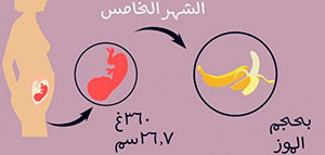 صورة: حركة الجنين في الشهر الخامس