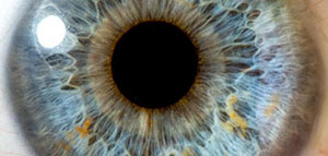 صورة: العين و مكونات العين و مشاكل العين المرتبطة بتقدم العمر