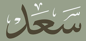 صورة: معنى اسم سعد و صفات حامل اسم سعد و دلع اسم سعد