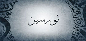 صورة: معنى اسم نورسين و صفات حاملة اسم نورسين