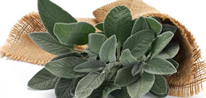 صورة: فوائد الميرمية للشيب و طريقة استخدام الميرمية للتخلص من الشيب