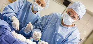 صورة: الكلية و مرض حصى الكلى و عوامل أخرى تزيد احتمالية الإصابة بحصى الكلى