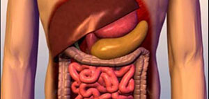 صورة: أعراض صفار الكبد عند البالغين و أعراض صفار الكبد عند الأطفال