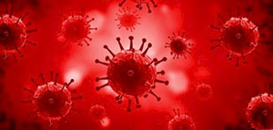 صورة: ما هي أسباب تلوث الدم و ما هي العوامل التي تزيد من احتمالية الإصابة بتلوث الدم