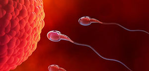 صورة: متى يحدث الحمل و كيف يحدث الحمل و أعراض حدوث الحمل الأولية