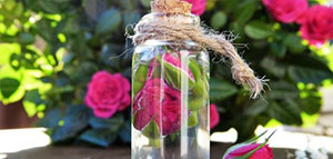 صورة: طرق استعمال ماء الورد و ماء الورد والليمون لعلاج حبوب الشباب