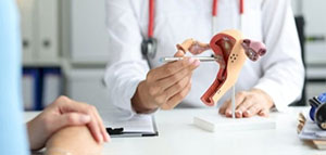 صورة: ما هي قناة فالوب و ما هي وظيفة قناة فالوب