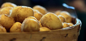 صورة: طريقة حفظ البطاطس و مدة حفظ البطاطس و نصائح عند تخزين البطاطس