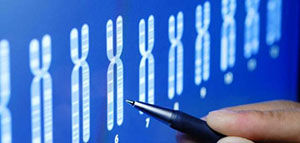 صورة: تحليل الكروموسومات و كيفية إجراء تحليل الكروموسومات