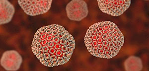 صورة: التعريف بحمى الوادي المتصدع و أسباب الإصابة بحمى الوادي المتصدع وطرق انتشارها