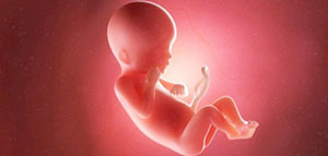 صورة: معنى التشخيص الوراثي للأجنة و الحالات التي يكشف عنها التشخيص الوراثي للأجنة