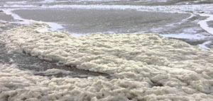 صورة: زبد البحر و فوائد زبد البحر